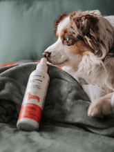 PURODORA Pet Odor Neutralizer for Sensitive Skin